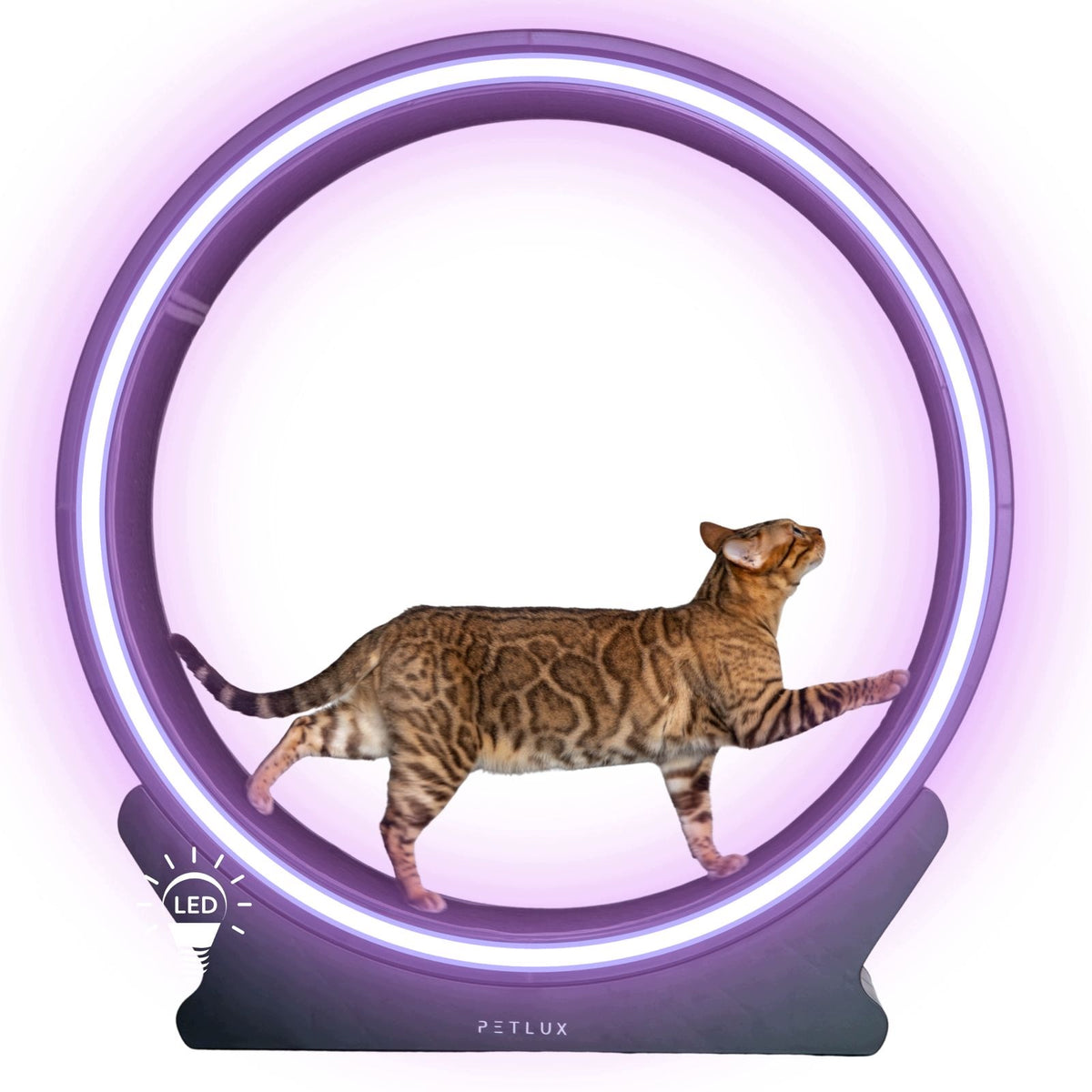Treadmill Cat Reel PETLUX V2 LED black