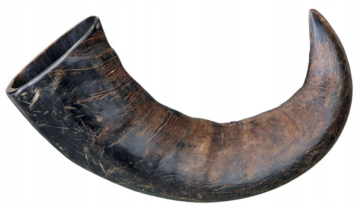 Trixie Buffalo Horn Teether L