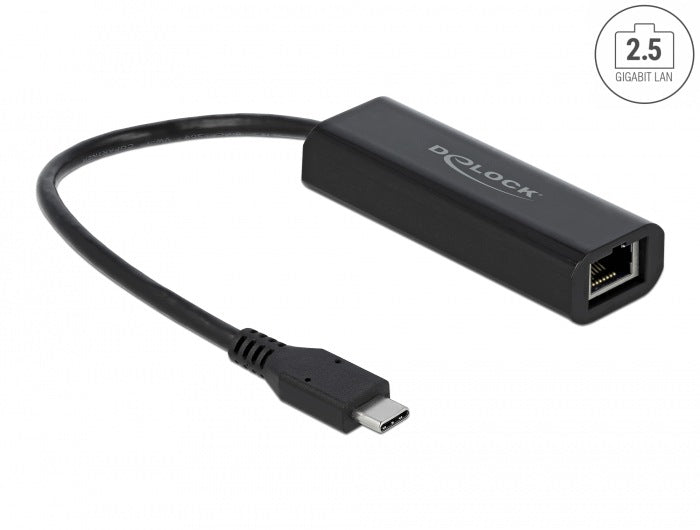 USB-C to RJ45 2,5 Gigabit LAN Delock 66298 Network Adapter