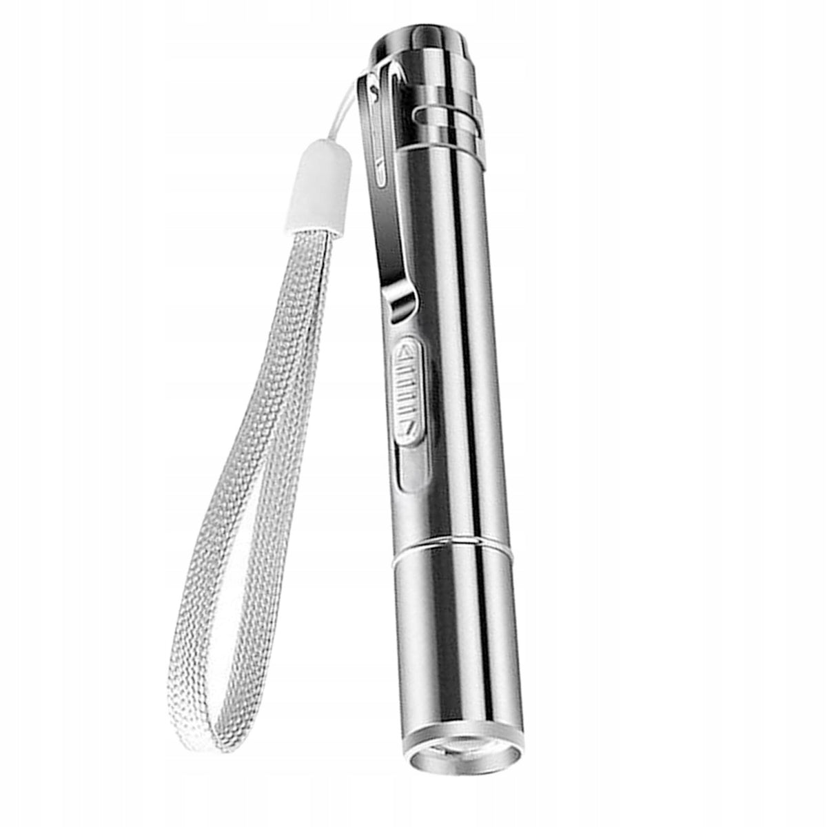 USB Rechargeable Pointer Pen Cats Kitten Dogs Pet Training
