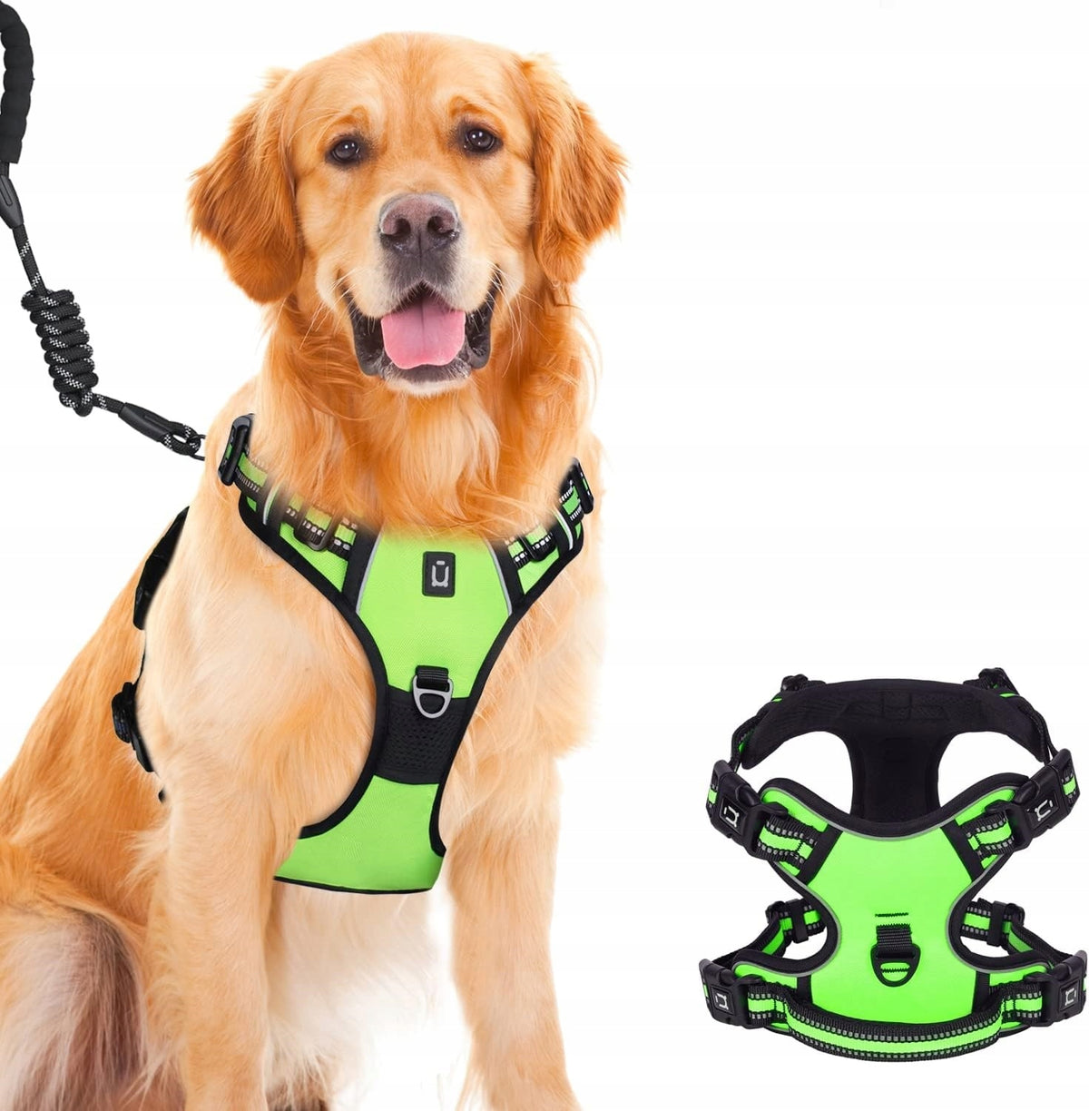 WALDSEEMULLER Green L TACTICAL DOG HARNESS