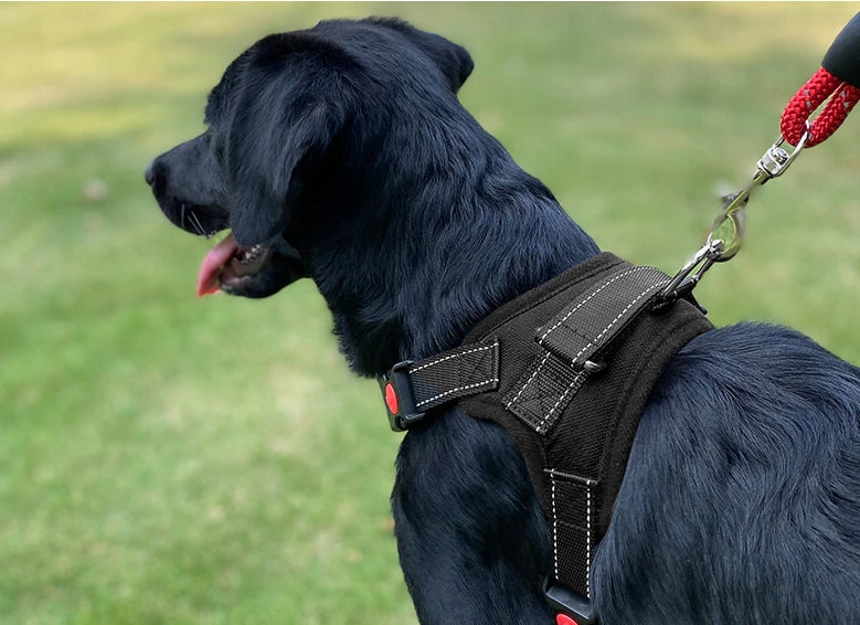 WALKING HARNESS FOR SMALL ADJUSTABLE DOG PRESSURE-FREE STRONG LIGHT ros. S Brand no brand