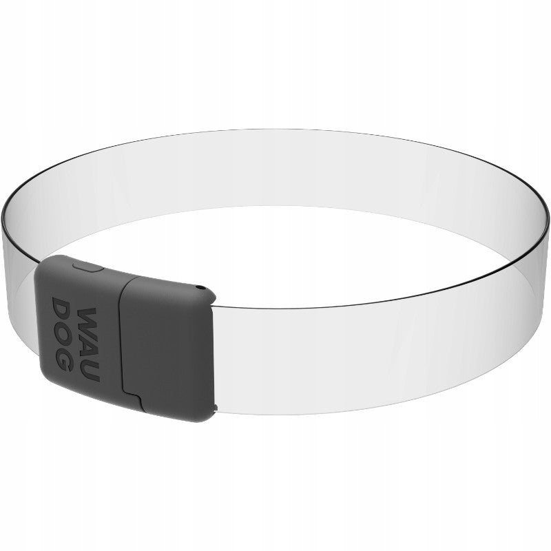 WAUDOG LED RGB Dog Collar with Backlight (25 mm x 60 cm)