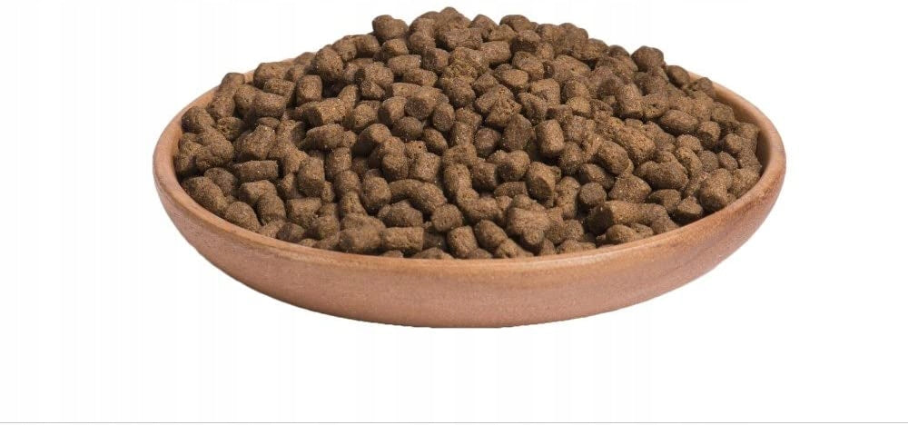 Wellness Core Kitten Original krmivo pro koťata krůta a kuře 1,75 kg Brand Wellness