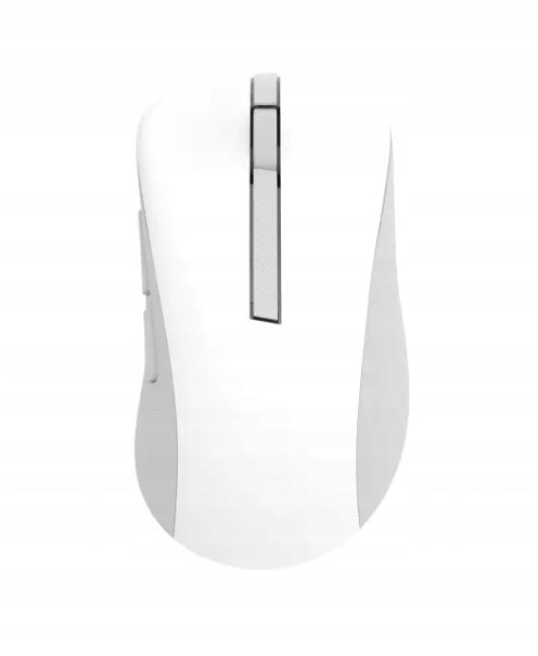 Wireless mouse Asus MD102 White