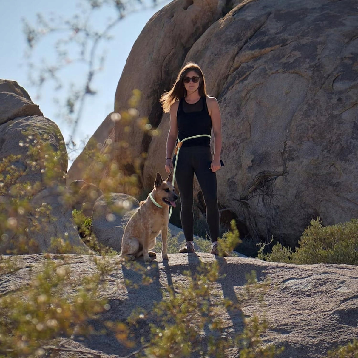 Wolfone Dog Leash Manufacturer code LikeSunGmbH