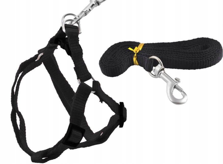York Rabbit Cat Dog Harness Lightweight + Lanyard Adjustable Black Walk