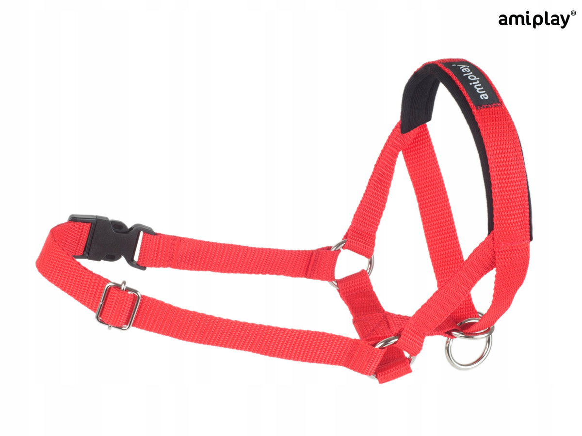 amiplay Halter Basic XXL Red Brand Amiplay