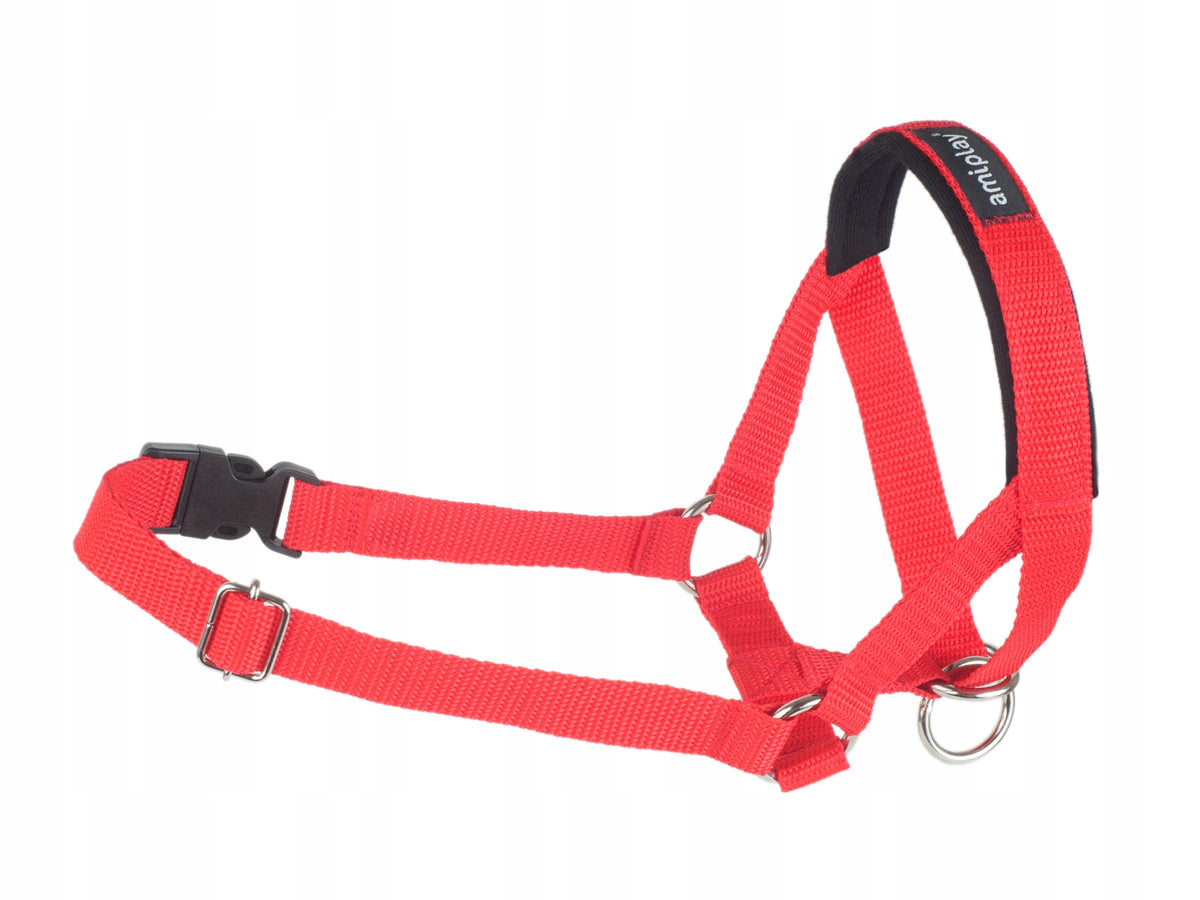 amiplay Halter Basic XXL Red