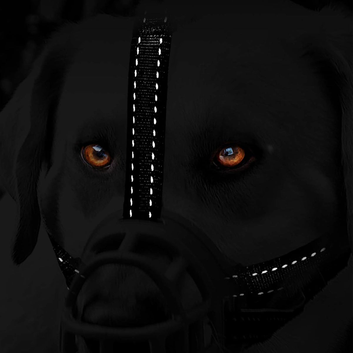 silicone muzzle size 5 Manufacturer code b08y1jzqrc