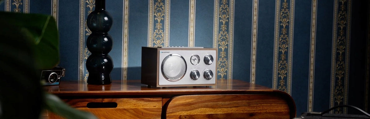 super RETRO FM network radio UKW Blaupunkt SD USB RXN19 two colors 3W Manufacturer code RXN 19 WN
